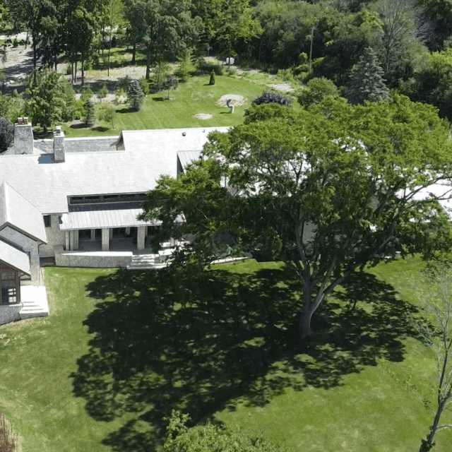 Tree disease treatment using eco-friendly solutions in Milwaukee WI