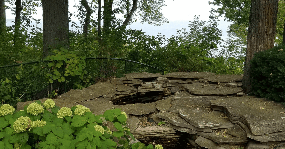 Waukesha winter landscape preparation, arborist mulching and pruning a yard