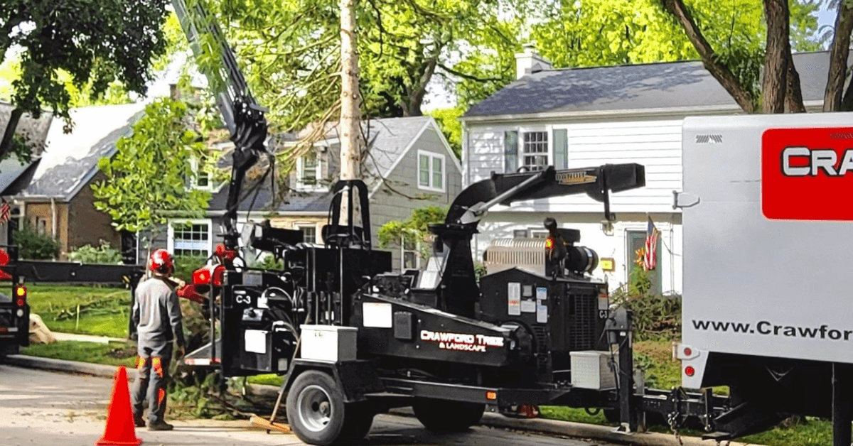 Tree removal permit requirements in Milwaukee and Wauwatosa, WI