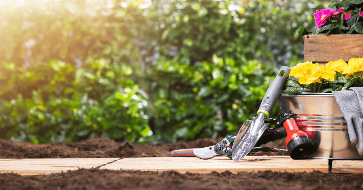 Beautifully designed front yard with fresh mulch, trimmed bushes, and vibrant flowers