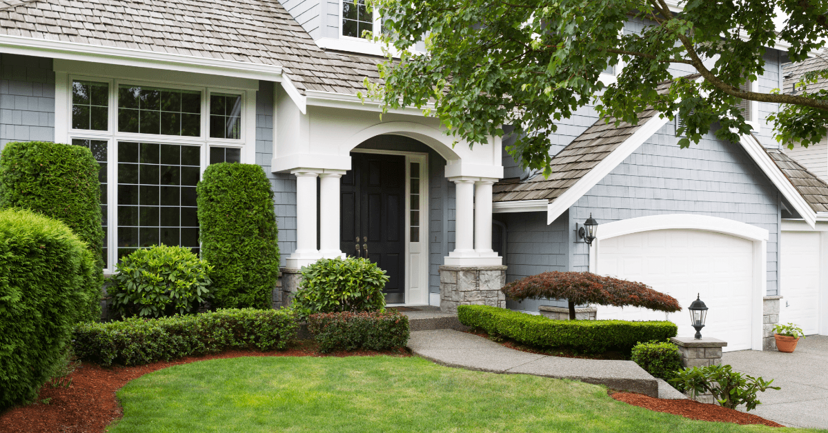 Shrub Trimming and Pruning