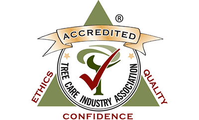 TCIA Accredited