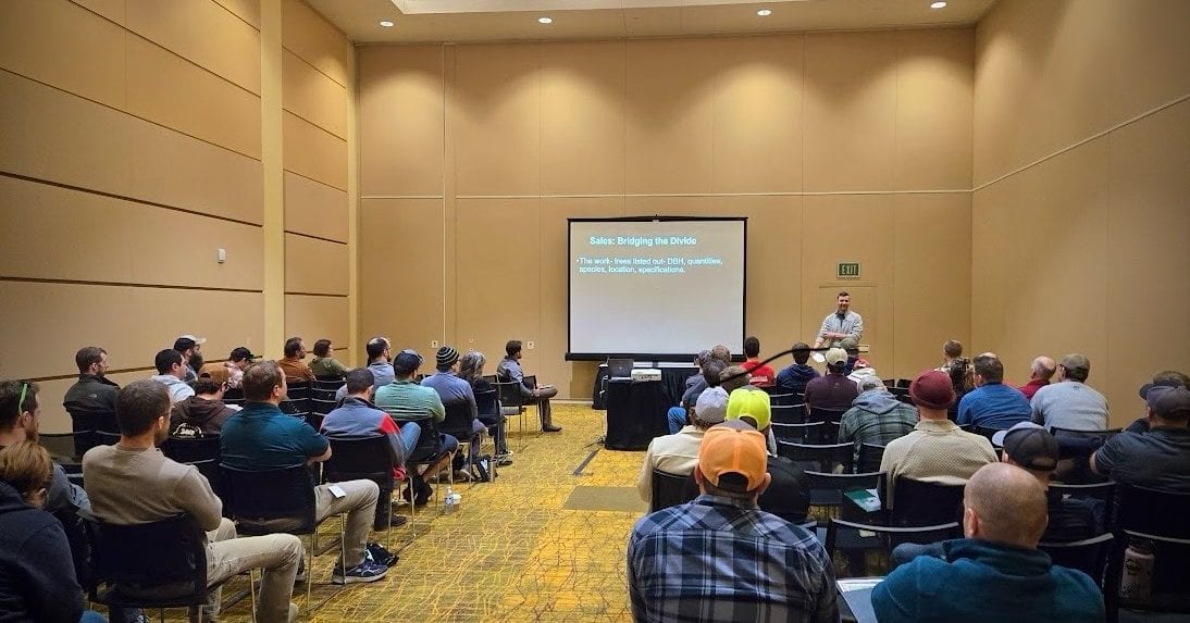 ISA-Certified arborists inspecting a dying tree in Milwaukee, WI