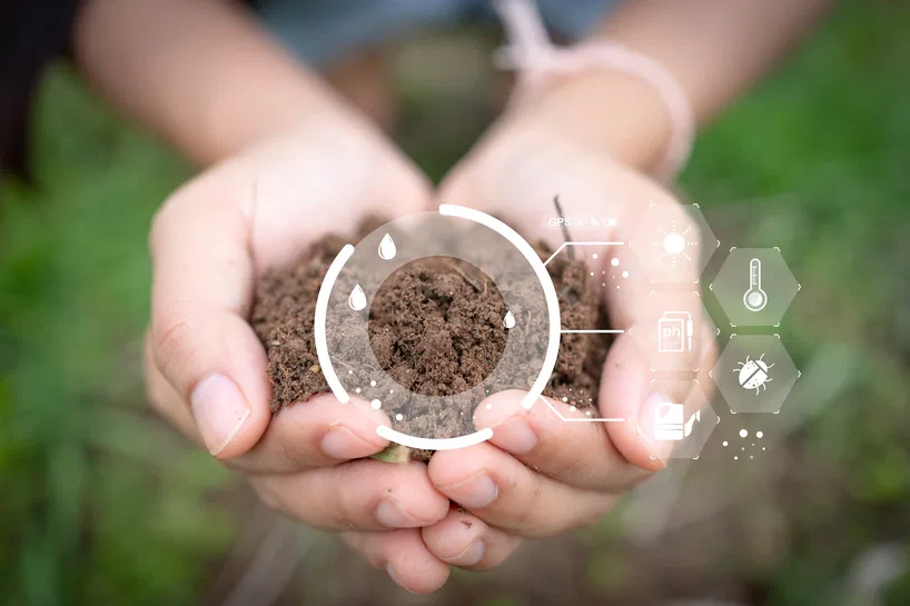 Soil Health