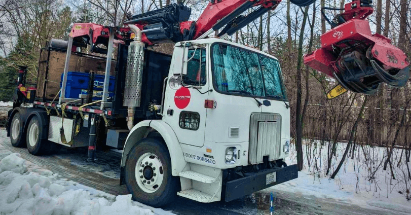 Winter tree removal in Milwaukee County with frozen ground and dormant trees