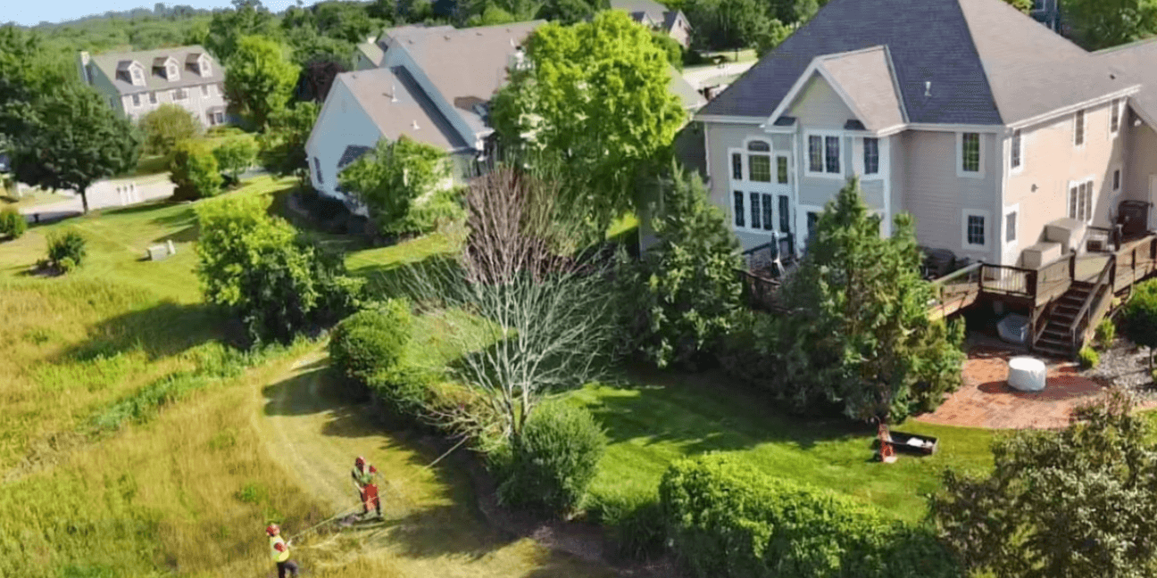 7 Signs Your Tree May Be About to Fall and What to Do First