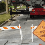 The Wauwatosa Tree Ordinance: Do You Need a Permit to Remove Your Tree?