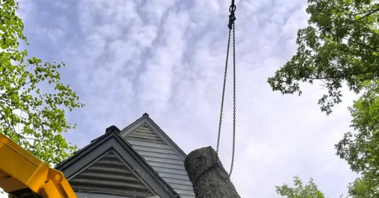 Arborist performing tree service in Whitefish Bay, WI residential yard