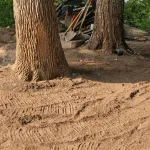 Milwaukee lawn fertilization tips for greener grass
