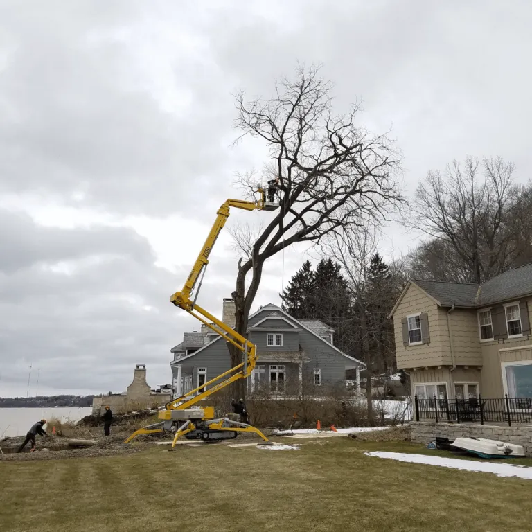 Tree Removal in Whitefish Bay WI