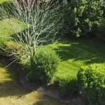 Arborist applying fall fertilizer to tree roots in Greater Milwaukee, WI