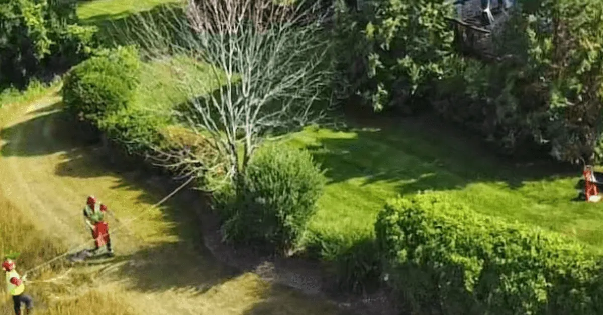 Arborist applying fall fertilizer to tree roots in Greater Milwaukee, WI