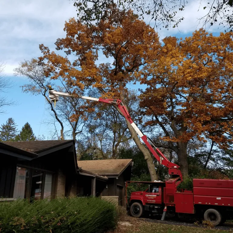 Tree Removal Mequon WI