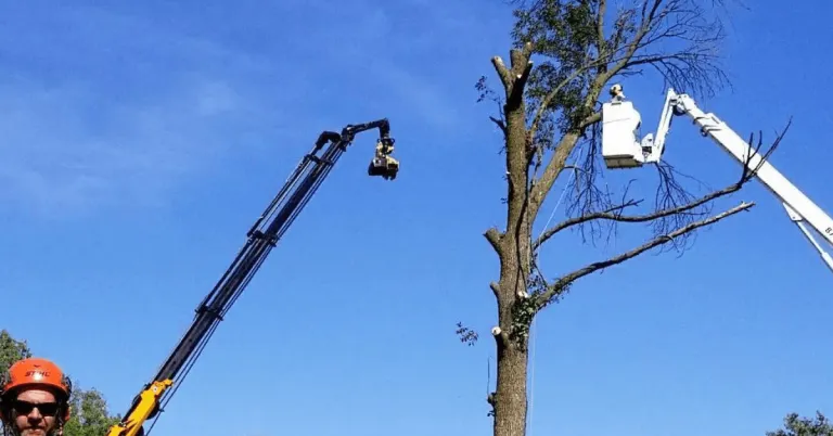 Crawford Tree & Landscape providing professional tree services in Mequon, WI