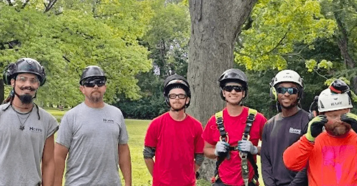 ISA-Certified arborists inspecting a dying tree in Milwaukee, WI
