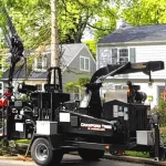 Certified arborists performing large tree removal, illustrating what impacts overall cost for homeowners.