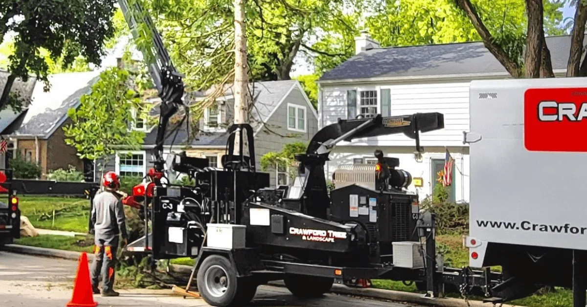 Certified arborists performing large tree removal, illustrating what impacts overall cost for homeowners.