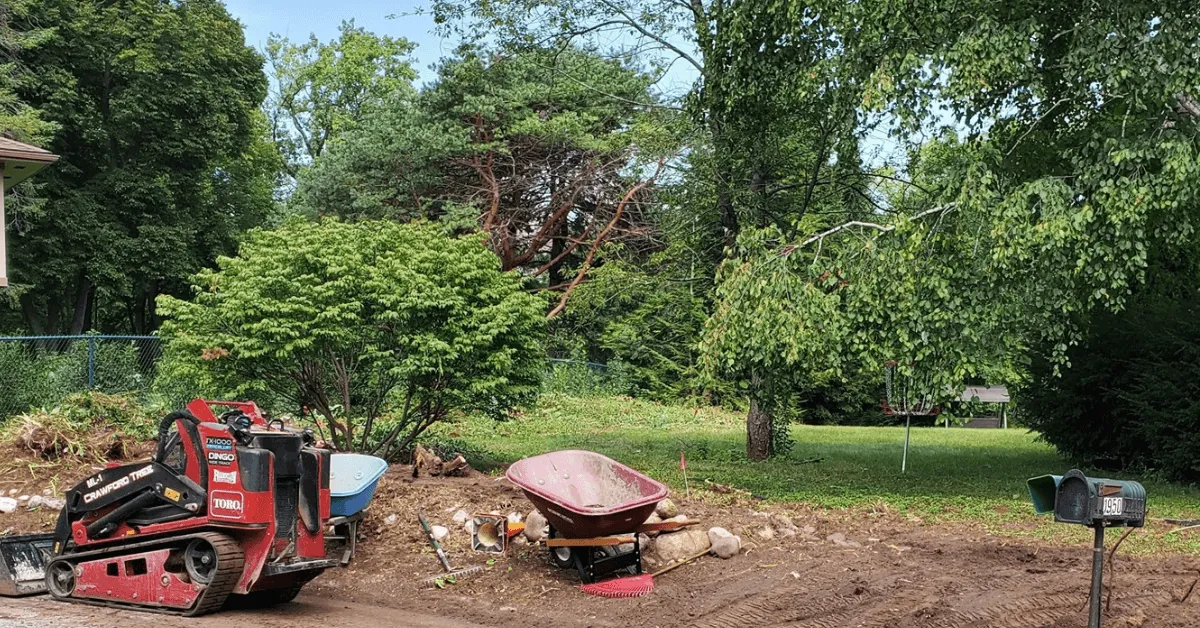 Best trees and shrubs to plant in Milwaukee yards