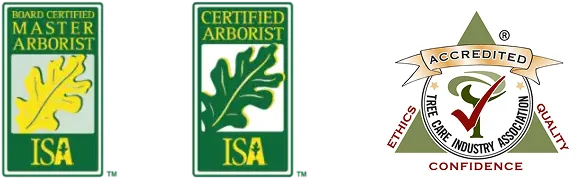 Arborist logos