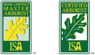 Arborist logos