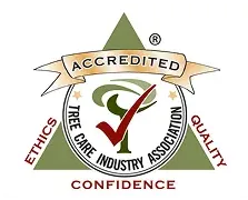 Arborist logos