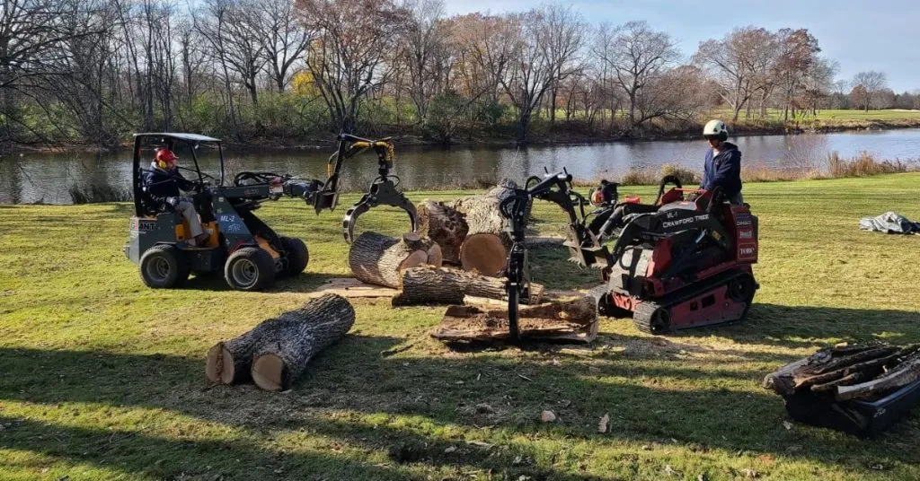 Tree Removal Mequon WI