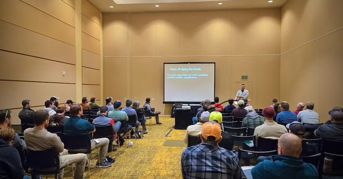 ISA-Certified arborists inspecting a dying tree in Milwaukee, WI
