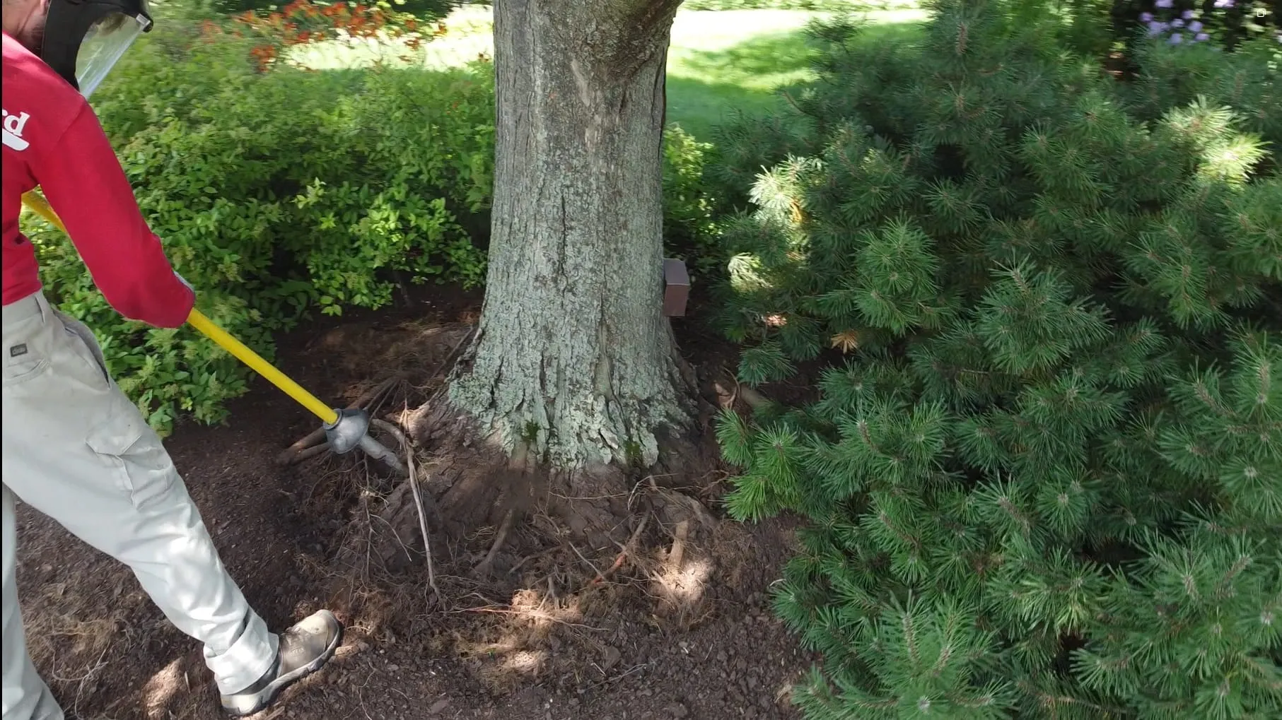 Tree root zone in Milwaukee showing winter soil conditions and partial root activity.