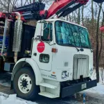 Winter tree removal in Milwaukee County with frozen ground and dormant trees