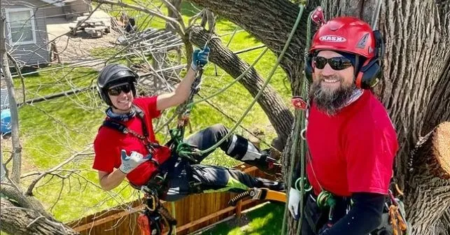 Tree cabling and bracing service in Milwaukee, WI