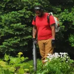 Arborist planting a healthy young tree in a residential Milwaukee backyard, showing proper planting depth and soil preparation for long term growth.