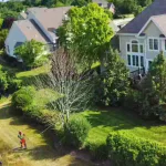 7 Signs Your Tree May Be About to Fall and What to Do First