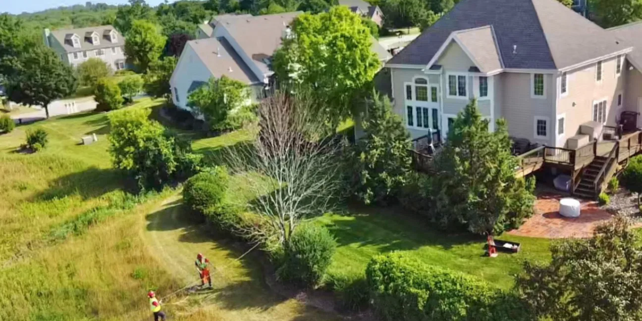 7 Signs Your Tree May Be About to Fall and What to Do First