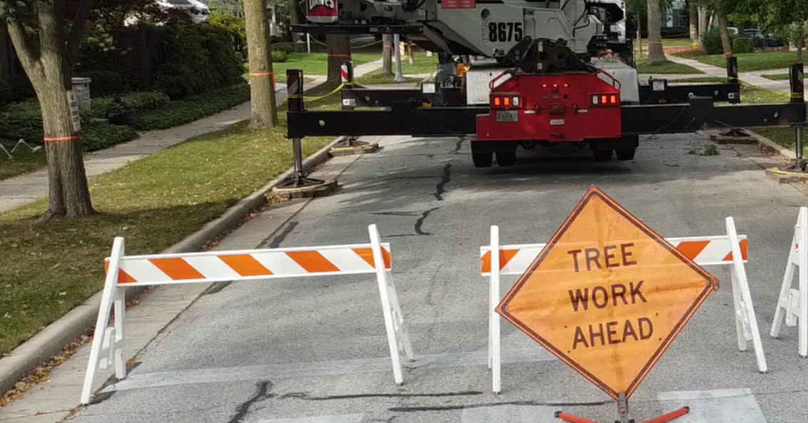 The Wauwatosa Tree Ordinance: Do You Need a Permit to Remove Your Tree?