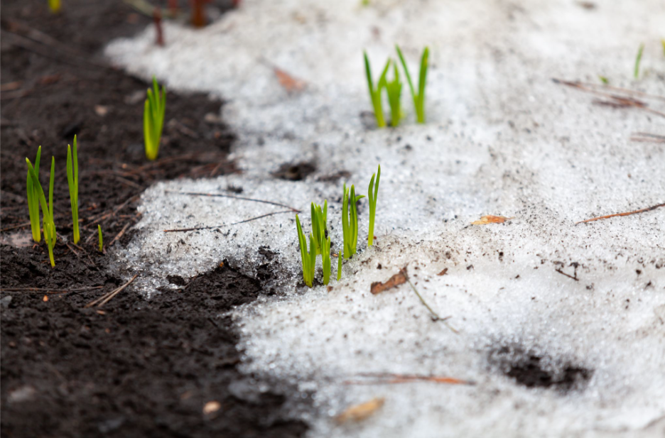Fresh dark mulch being applied to a clean residential garden bed.