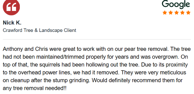 case study