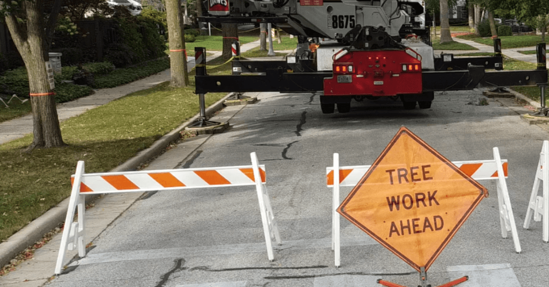 Crawford Tree & Landscape Services, Inc. gallery 5
