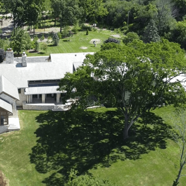 Tree disease treatment using eco-friendly solutions in Milwaukee WI
