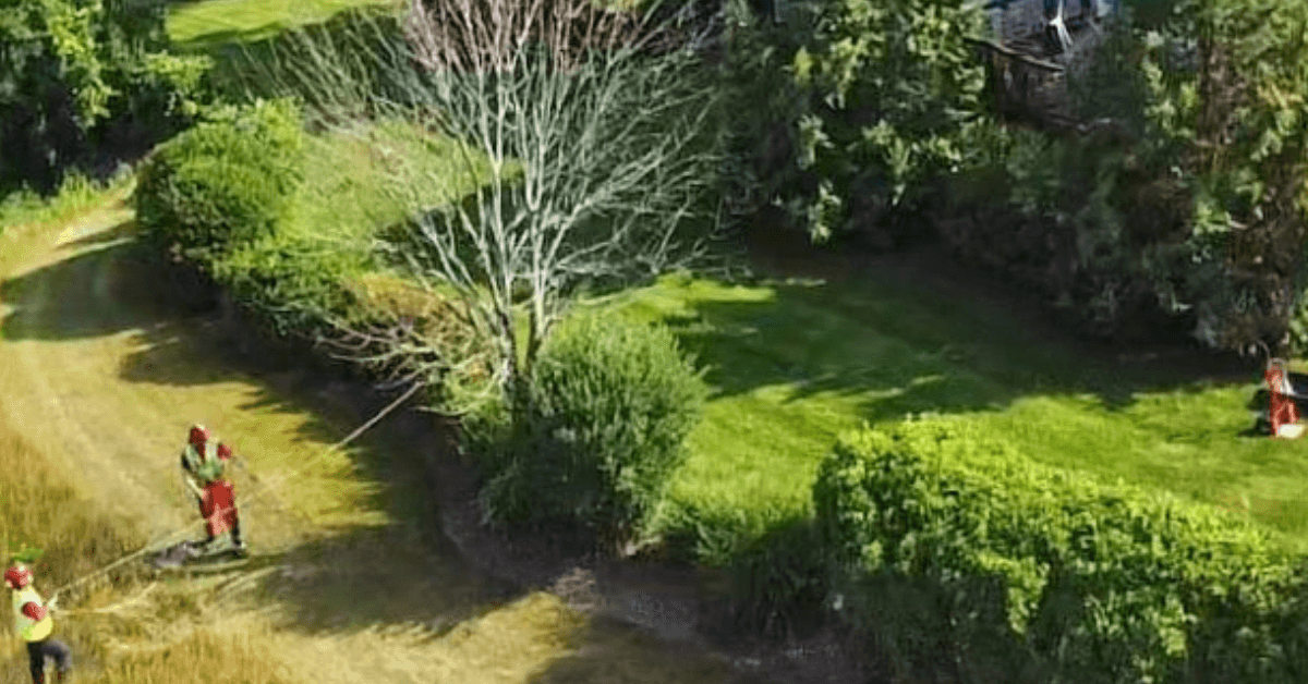 Arborist applying fall fertilizer to tree roots in Greater Milwaukee, WI