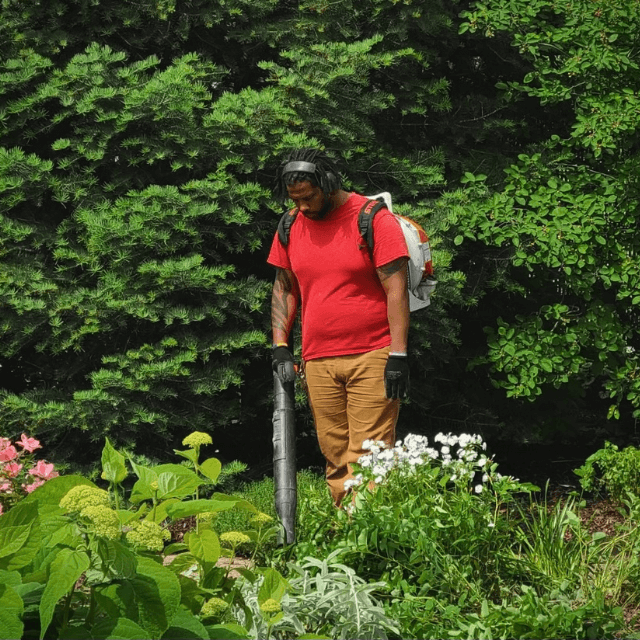 Shrub trimming and landscape maintenance in Germantown WI front yard