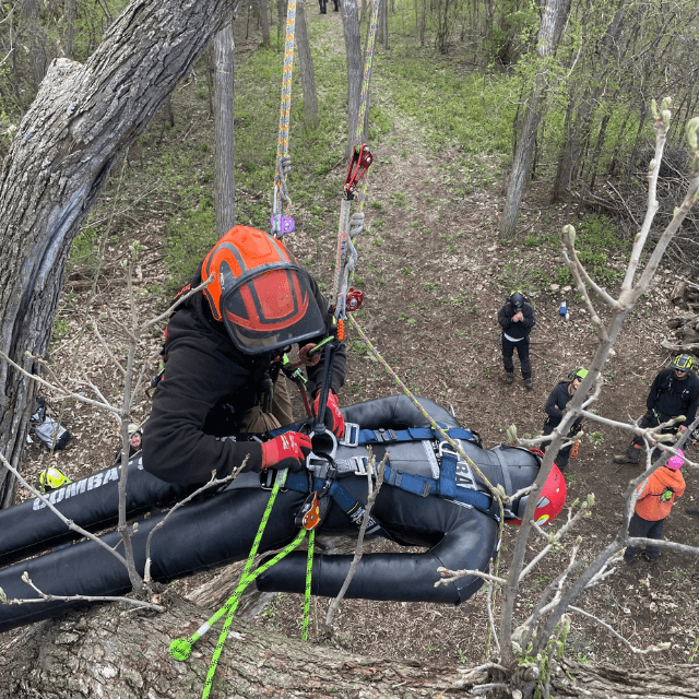 Certified arborist performing tree removal in Milwaukee WI backyard