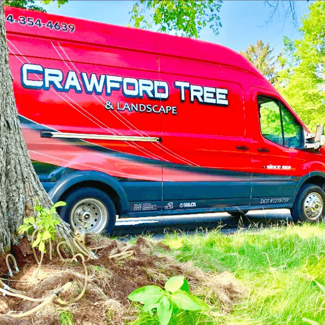 Crawford Tree and Landscape experts inspecting tree health in Wauwatosa WI