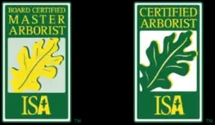 Arborist logos