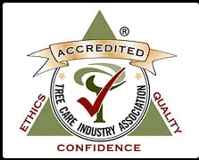 Arborist logos