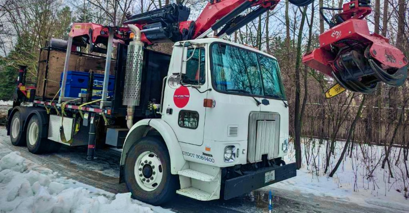 Winter tree removal in Milwaukee County with frozen ground and dormant trees